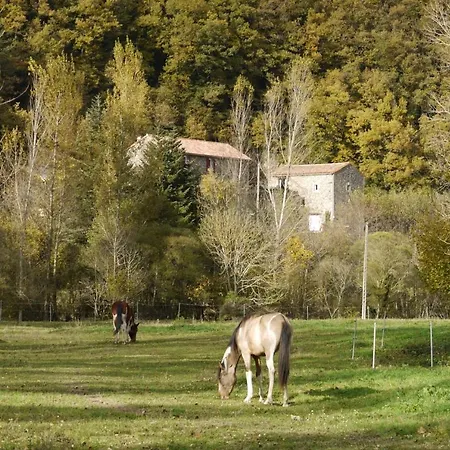 B&B Mas Des Fontaines